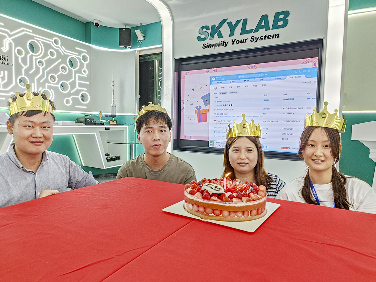 赴一场春日之约|SKYLAB 2023年第一季度生日会、迎新会